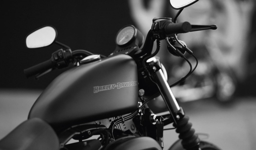 Мотоцикл модели Harley-Davidson XL 883N Sportster Iron