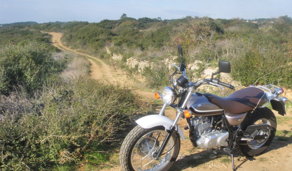 Новый надежный мотоцикл Suzuki RV 125