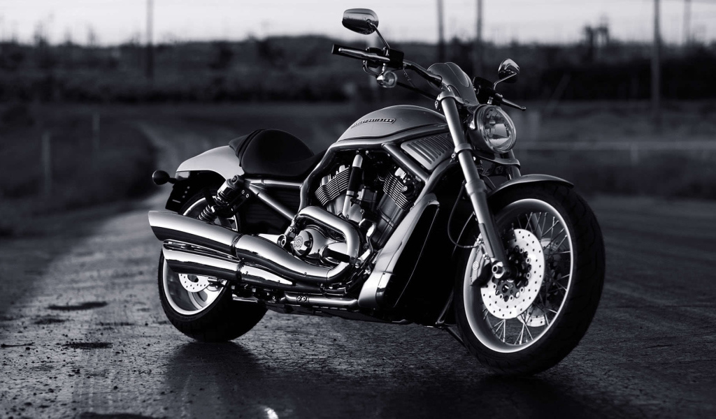Новый надежный мотоцикл Harley-Davidson V-Rod Muscle