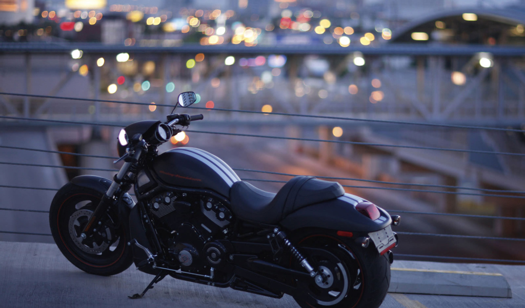 Популярный мотоцикл Harley-Davidson Night Rod Special