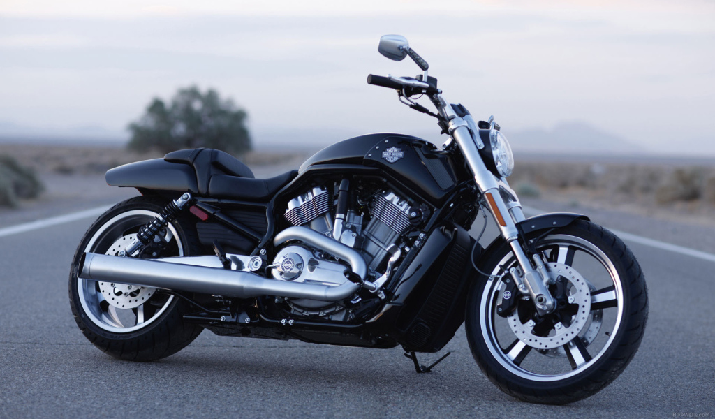 Популярный мотоцикл Harley-Davidson V-Rod Muscle