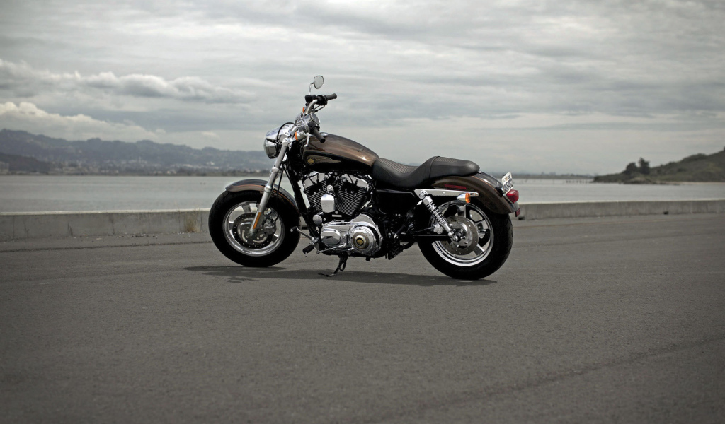 Тест-драйв мотоцикла Harley-Davidson XL 1200C Sportster Custom