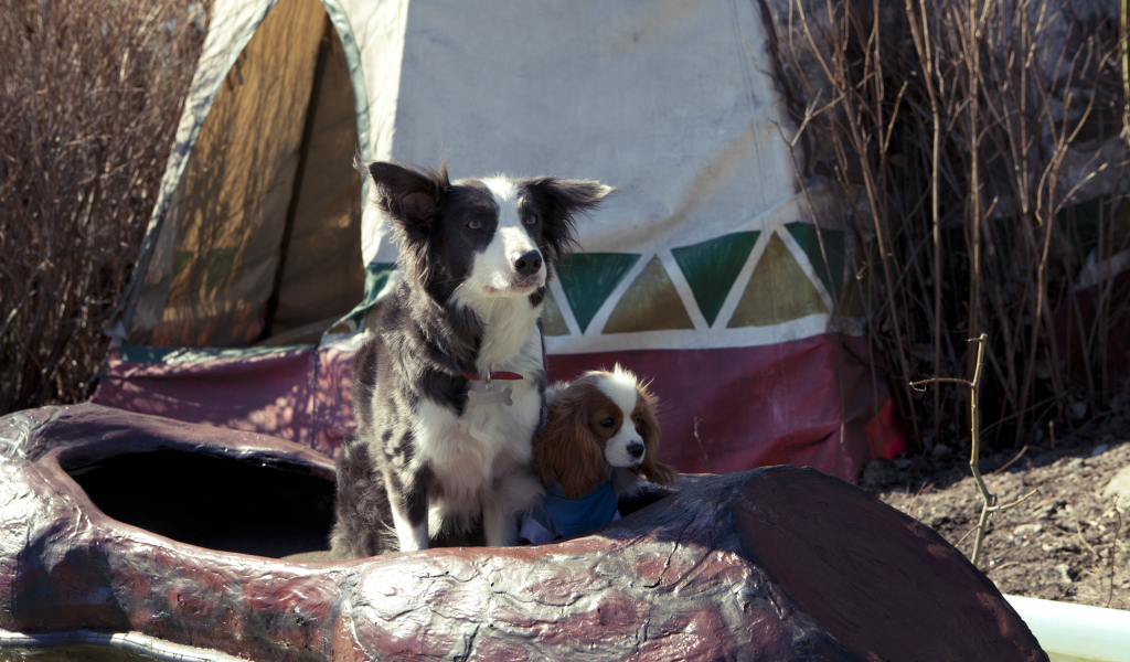 Герои фильма Ёлки лохматые 2014