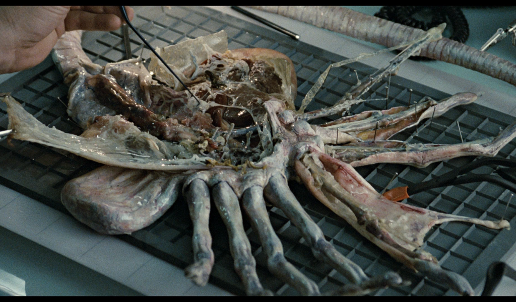 Кино 80-й пришелец