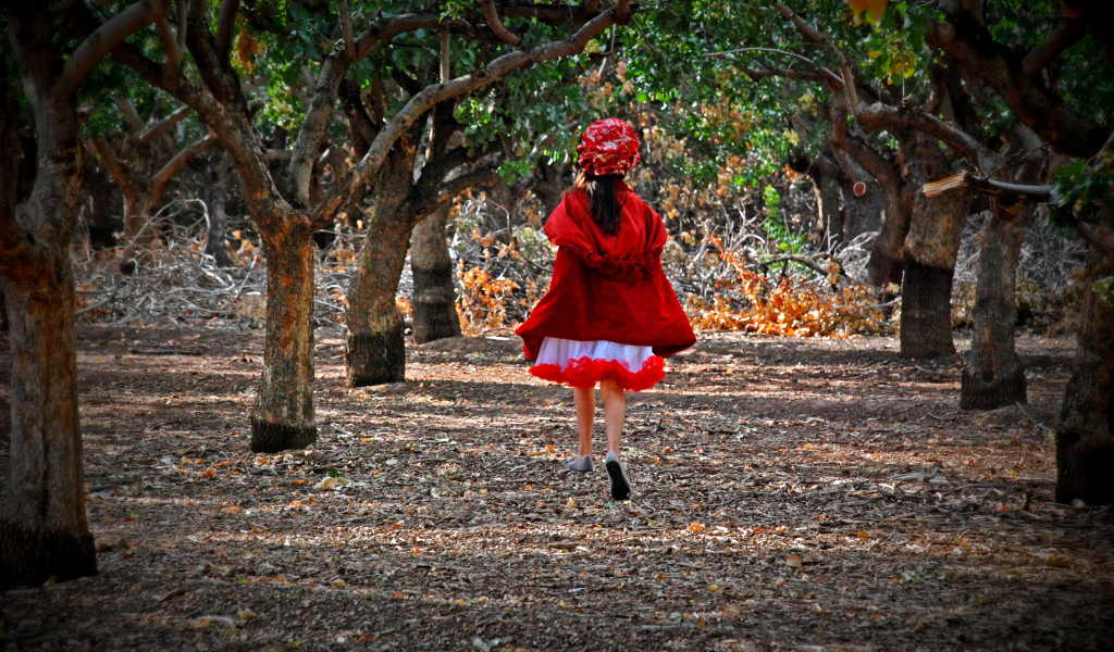 Фильм - В лес