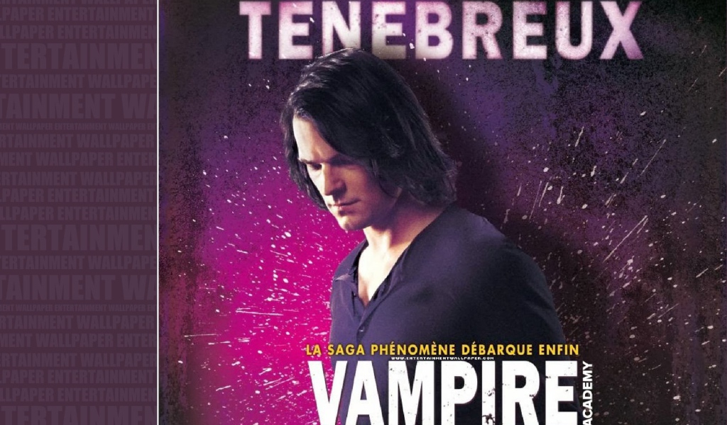 Интересный фильм Академия вампиров