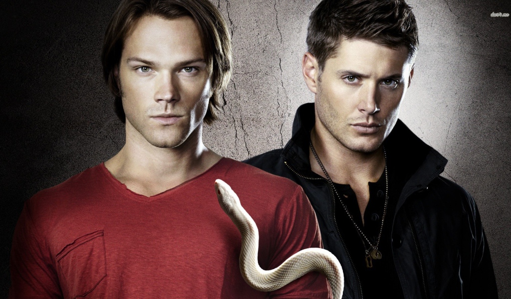 Сем и Дин из сериала Сверхъестественное