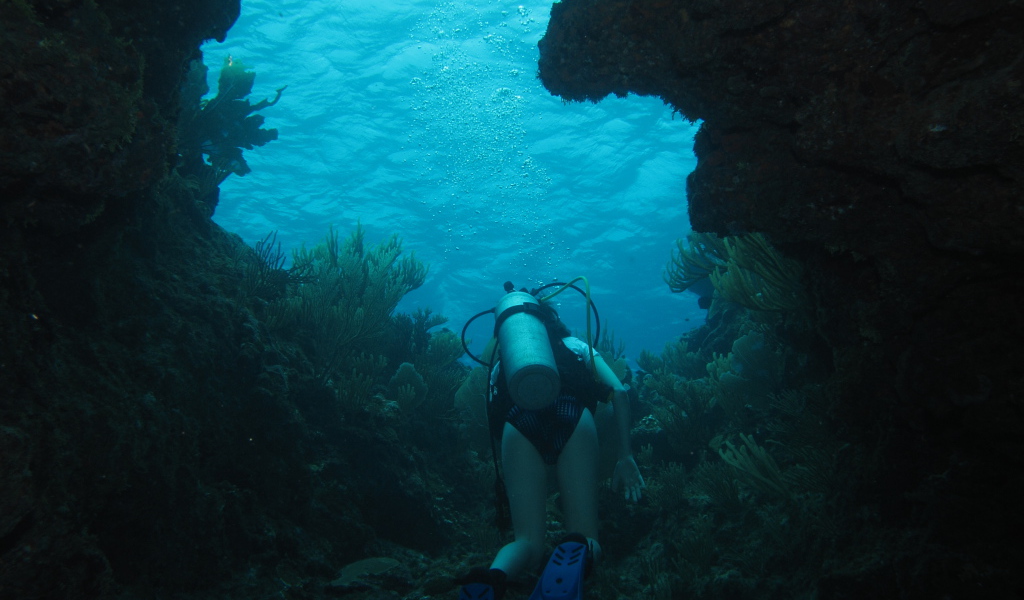 Тайна двух океанов