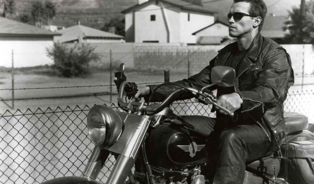 Терминатор 2:  Судный день