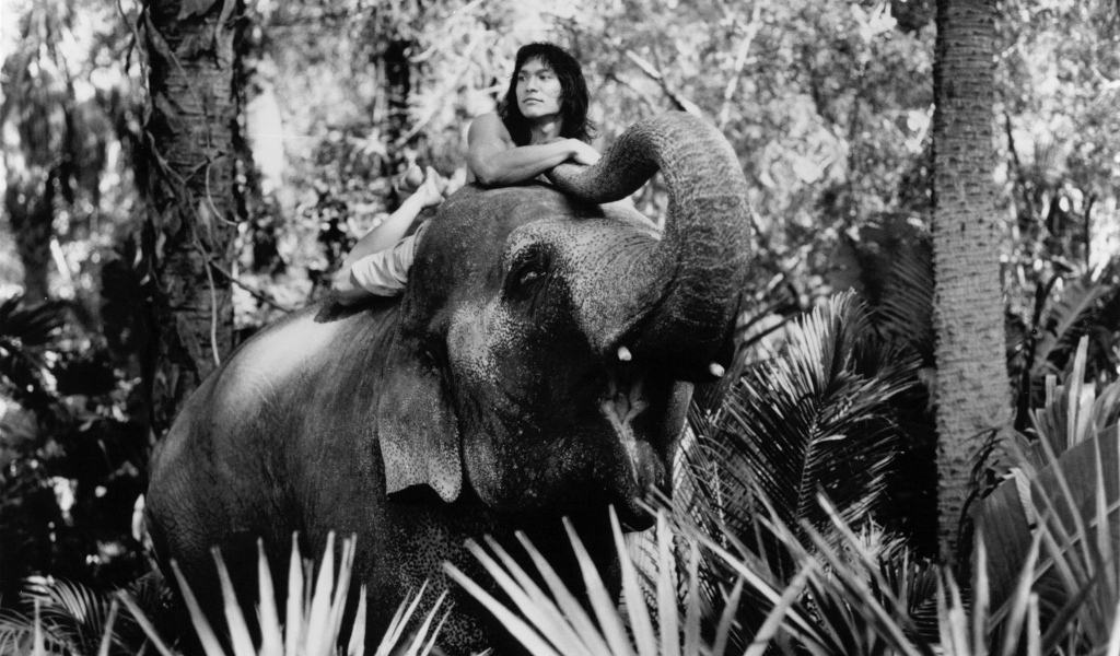 Книга джунгле