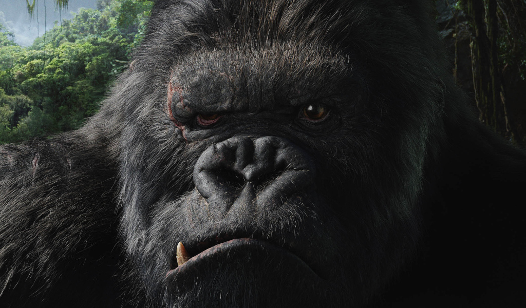   Кинг-Конг