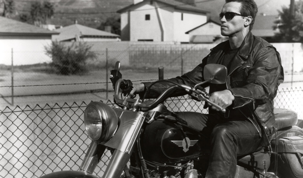 Терминатор 2 судный день Арнольд Шварценеггер