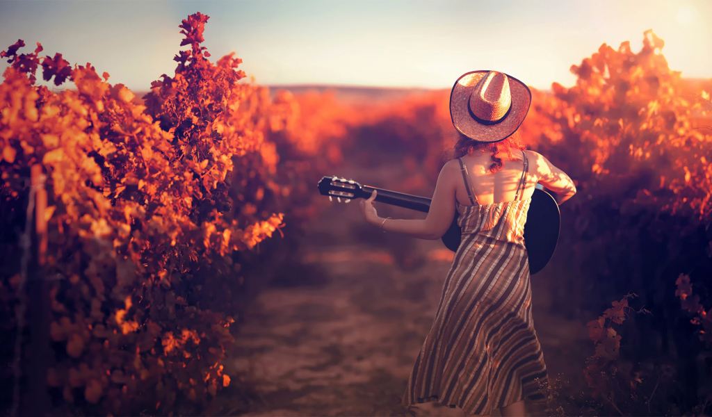 Девушка с гитарой в винограднике