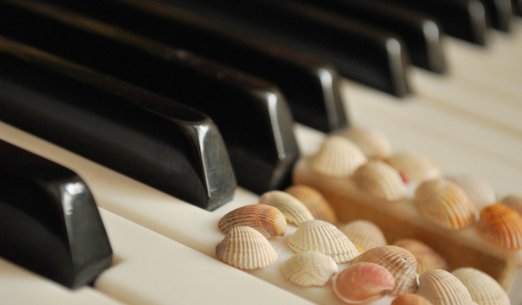 Клавиши с ракушками