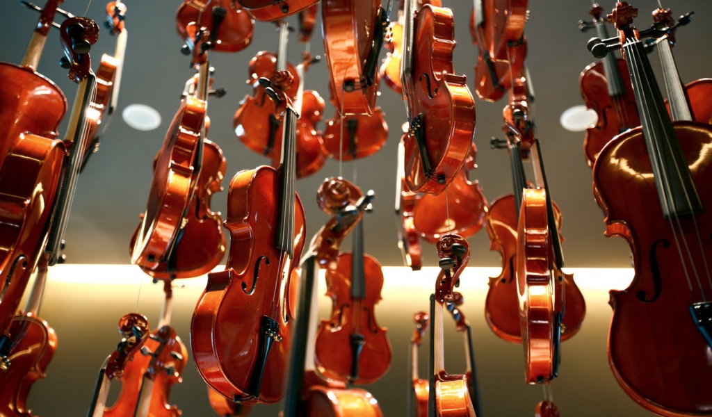 Дождь из скрипок