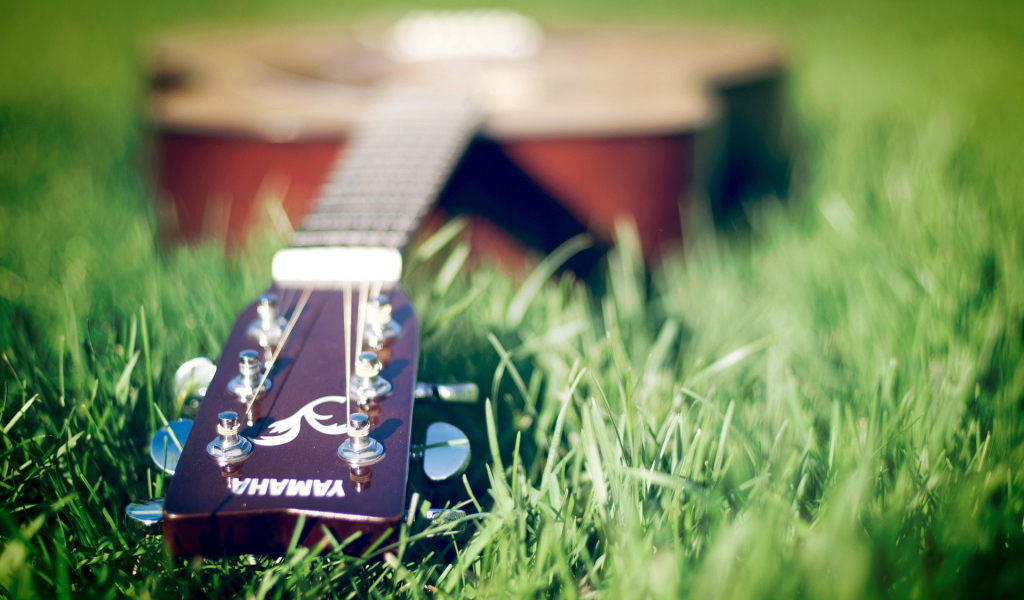 Гитара лежит на траве