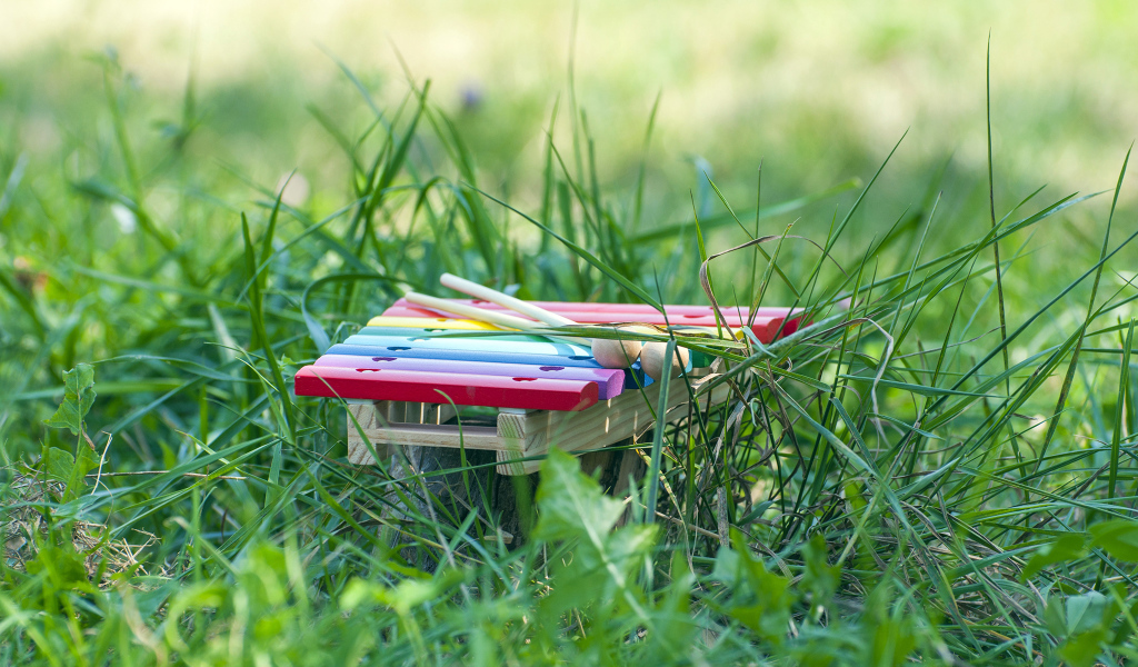 Музыкальный инструмент Маримба