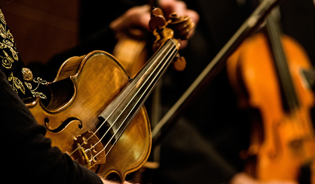 Струны скрипки