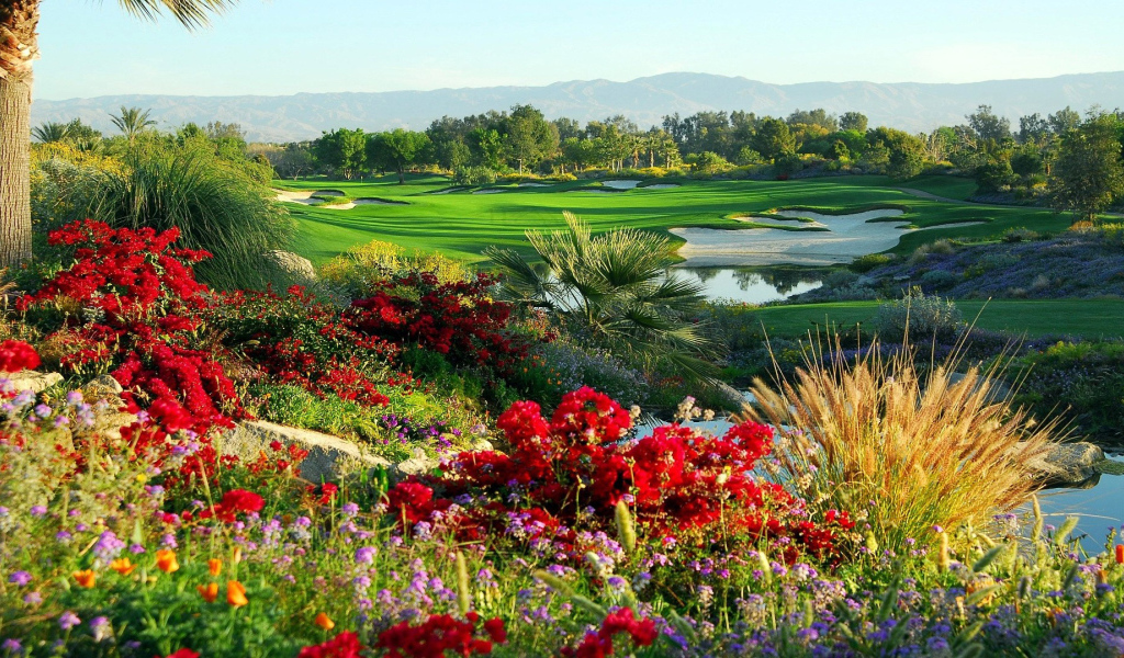 Сказочный сад