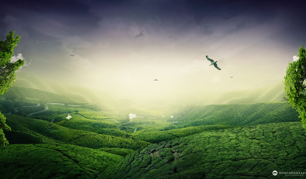 Зеленый пейзаж