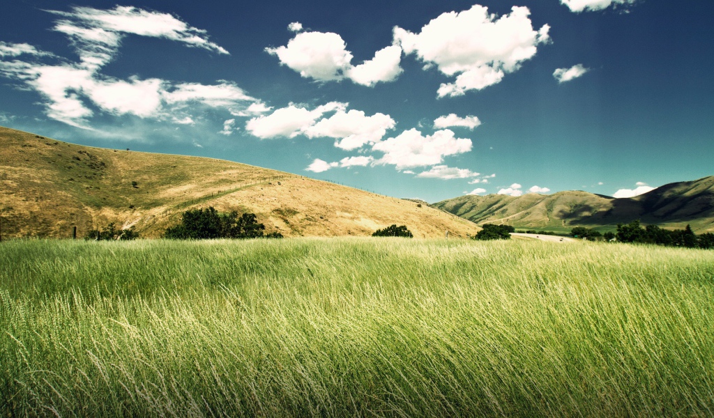 Зеленая долина