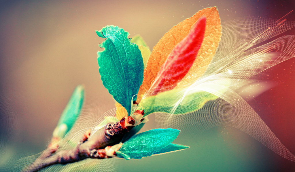 Листья в поляризованном свете