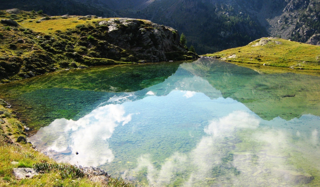 Размышления природы