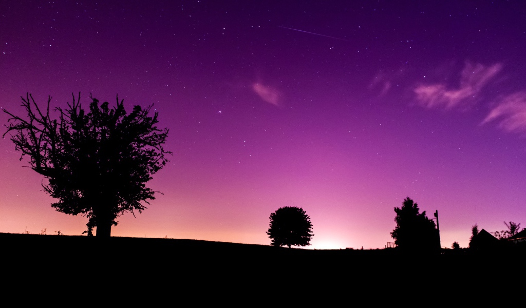 Розовая ночь