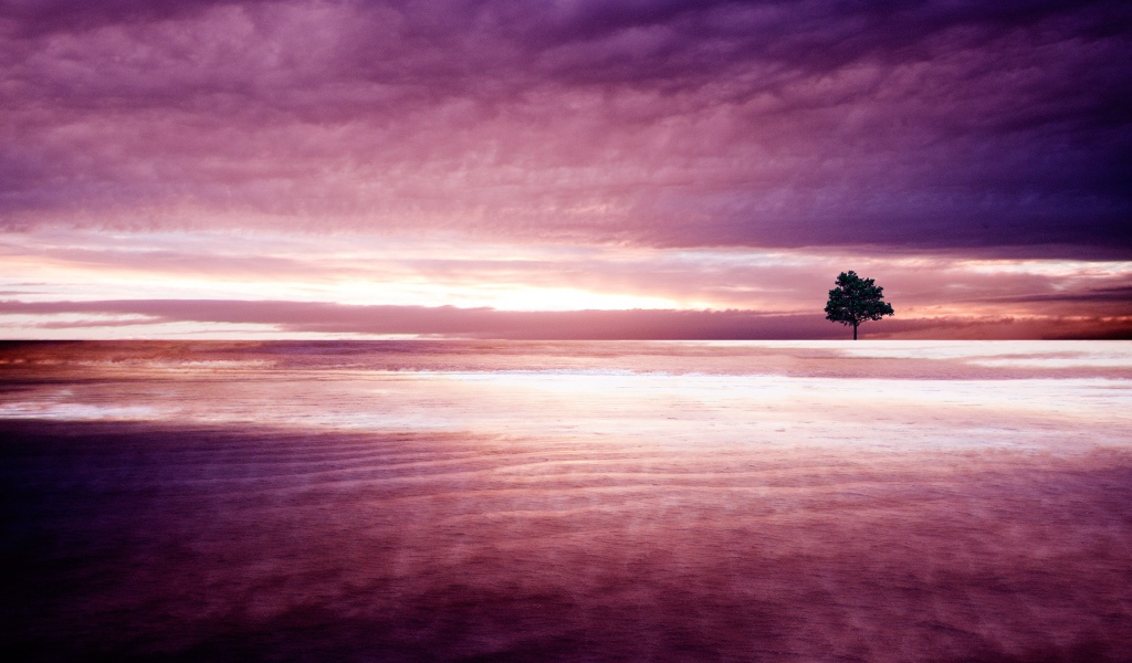 Фиолетовая природа 