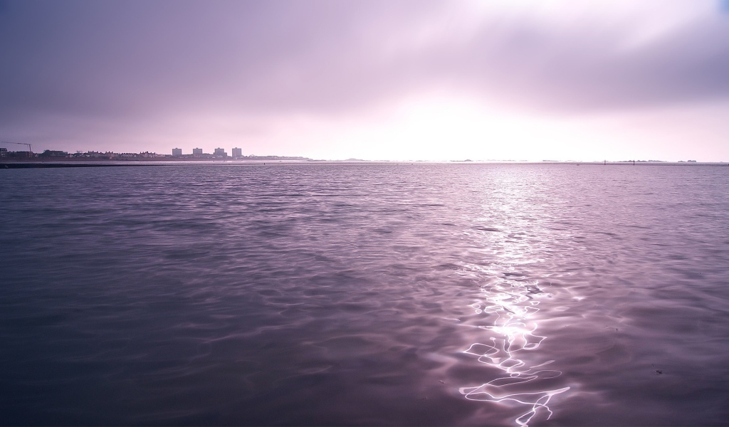 Фиолетовые сумерки