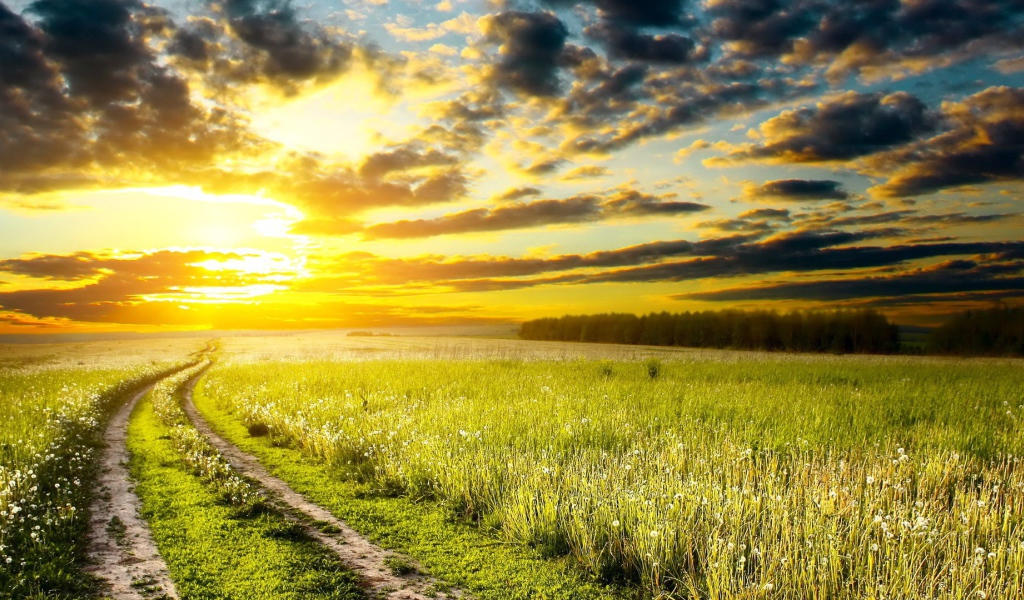 Дорога на закат