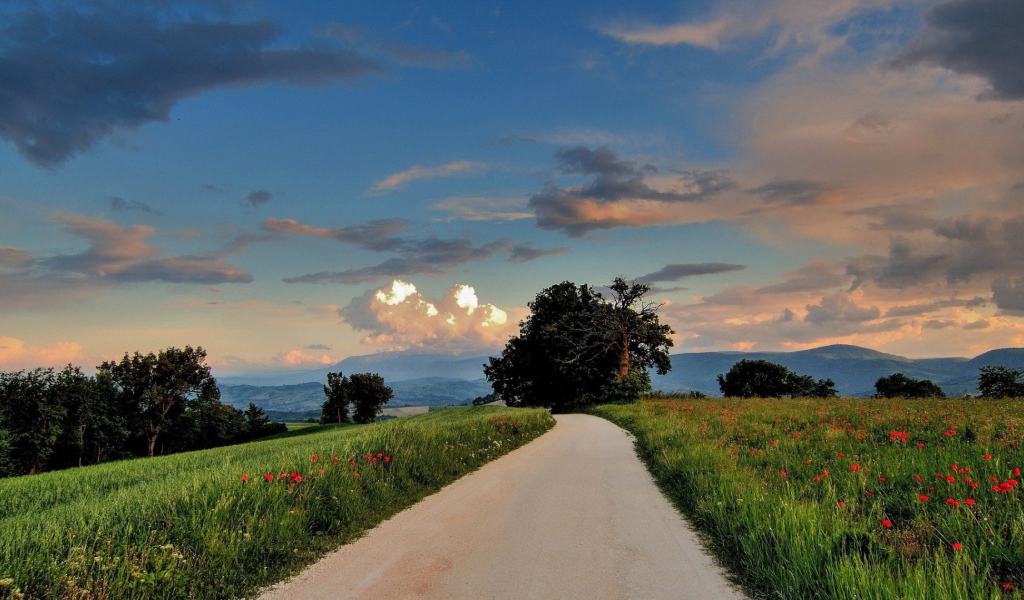 Дорога сельской местности