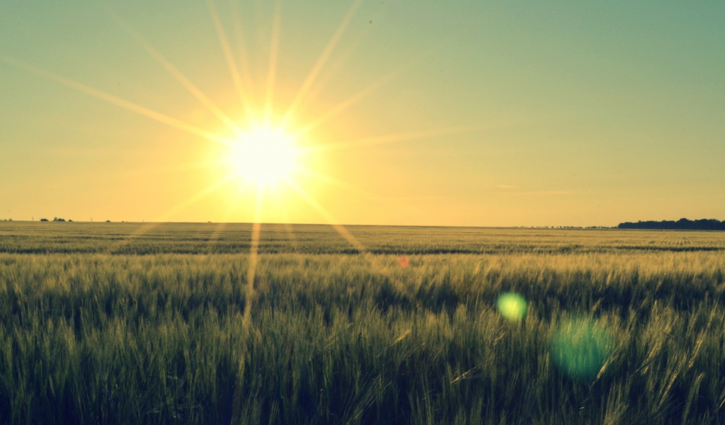 Закат в степи