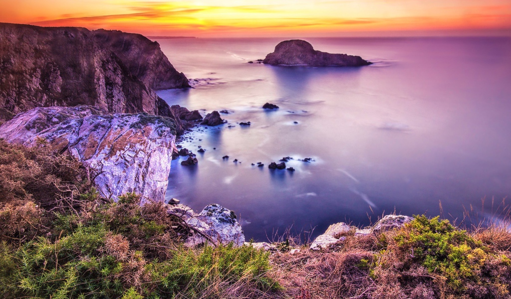 Розовая природа