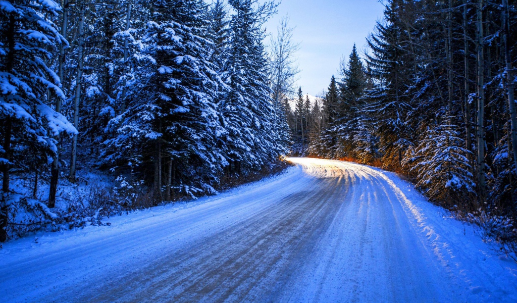 Дорога среди заснеженного леса