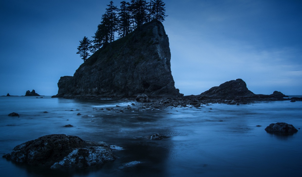 Деревья на прибрежной скале