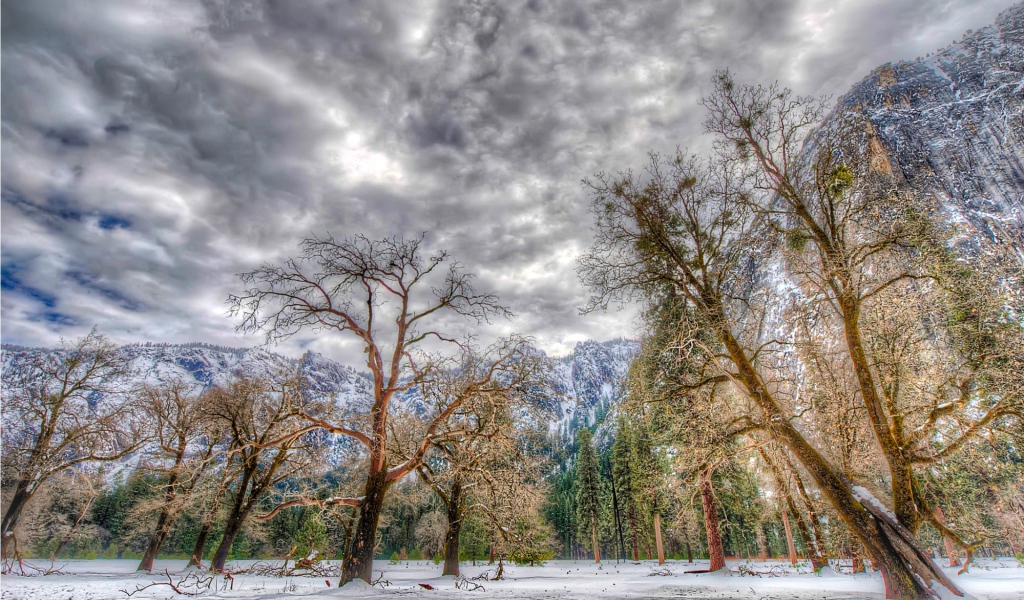 Зима в национальном парке