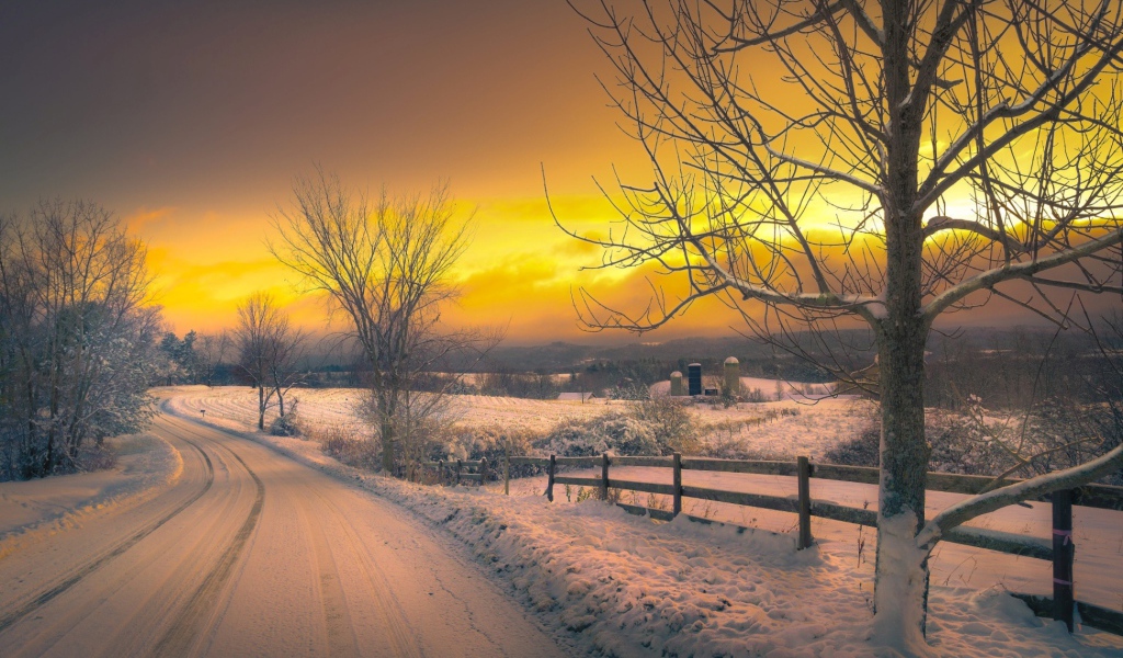 Желтый зимний закат