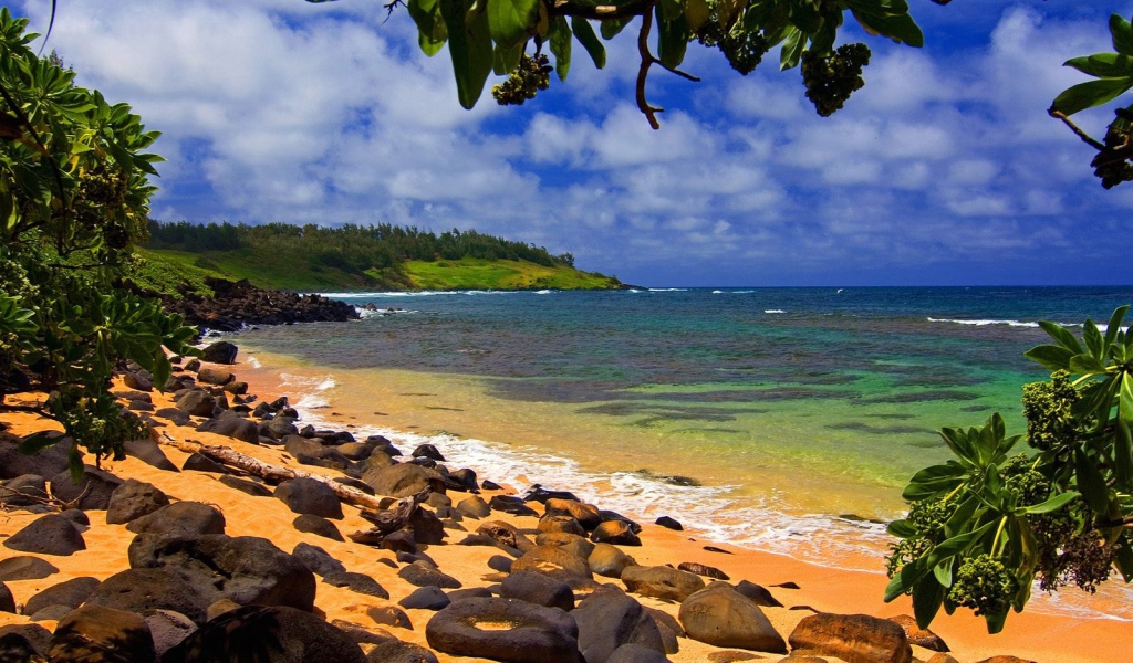 Пляж на Гавайях 