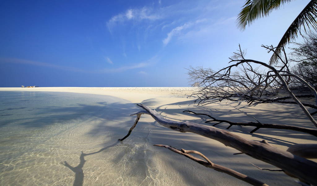 Красивый пляж под голубым небом