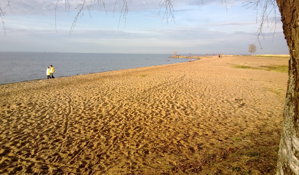 Красивый вид на золотой пляж