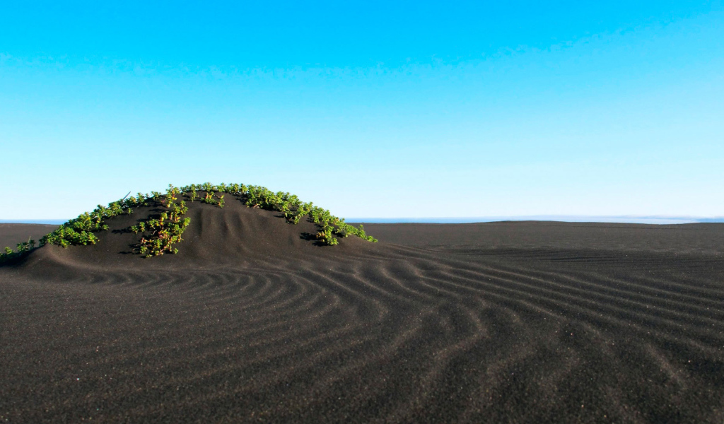 Пляж с черным песком