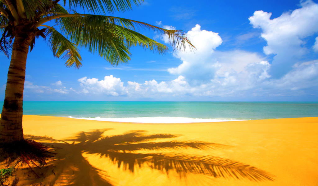 Пальма на желтом пляже