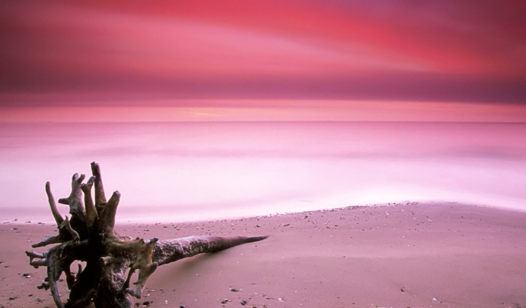 Пляж с розовым песком