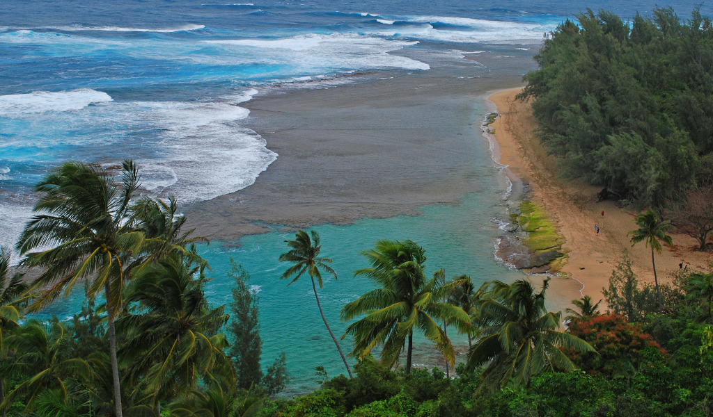 Дикий пляж у моря