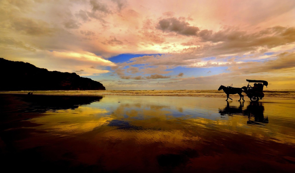 Катание на лошади по пляжу