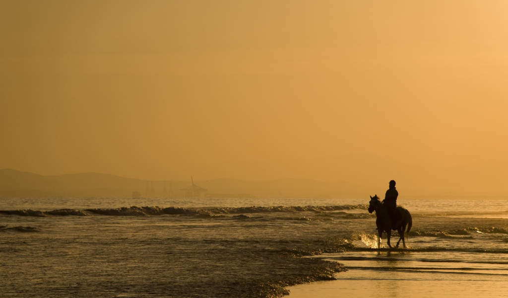 Всадник на пляже