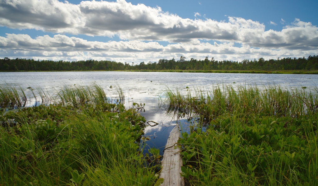 Облака над озером