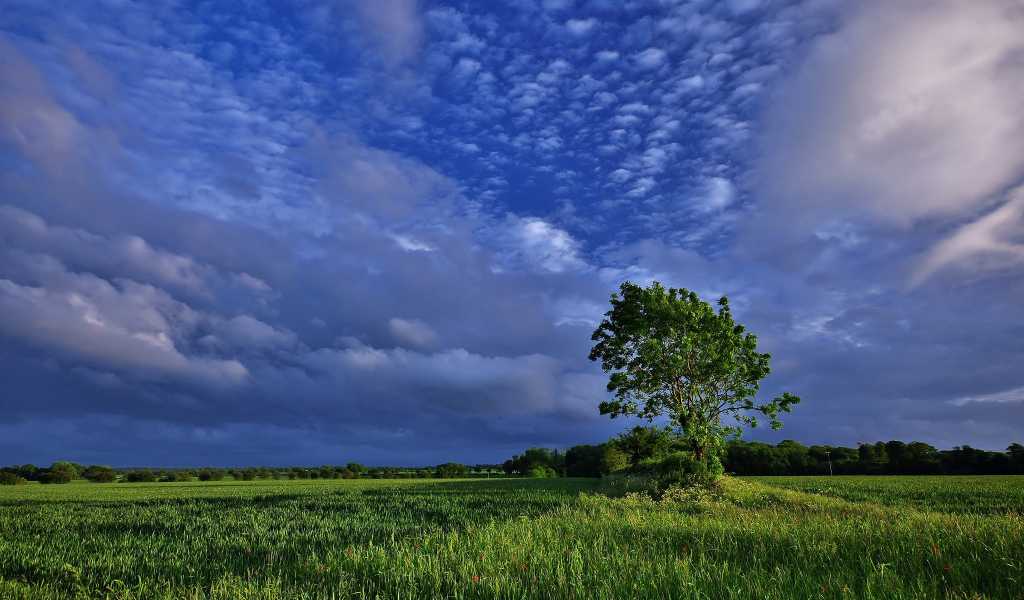 Облачное небо