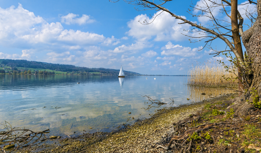 Редкие осенние облака